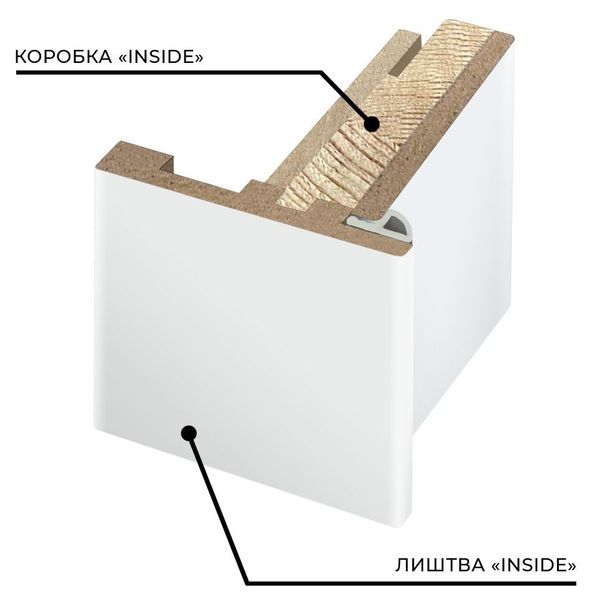 Дверное полотно ANIMAS 800 х 2010, Белая эмаль (INSIDE) 2000000187891 фото